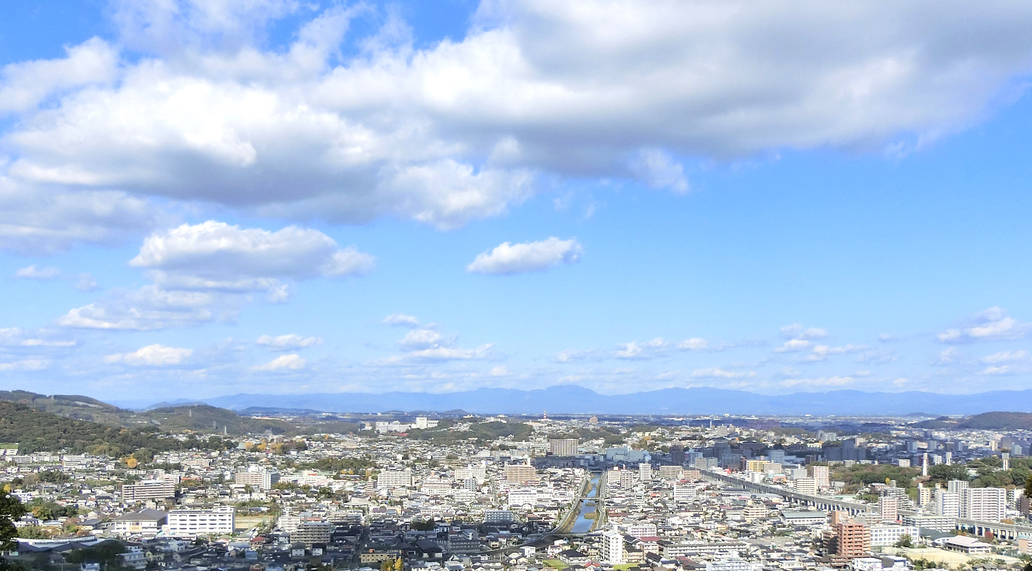 熊本県の花岡山公園からの景色